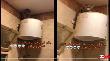 بالفيديو شوف ايش وجد هذا الشاب داخل حمام منزله في عنيزة