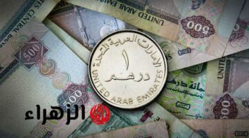 سعر الدرهم الإماراتي أمام الجنيه المصري اليوم 24 يناير 2025