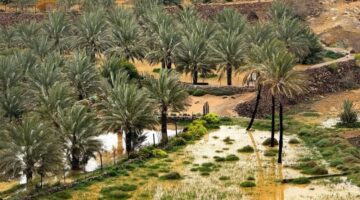 السماء ملبدة بالغيوم.. هطول أمطار غزيرة على المدينة المنورة