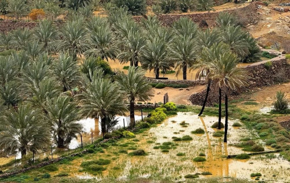 السماء ملبدة بالغيوم.. هطول أمطار غزيرة على المدينة المنورة