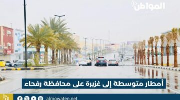 لقطات توثق الحالة المطرية على رفحاء