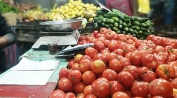 أسعار الخضراوات والفواكه اليوم الاثنين 19 مايو 2025م بمحافظة كفر الشيخ –  سبق 24