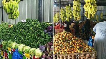 أسعار الخضار والفاكهة اليوم الثلاثاء 29 -4-2025  بمنافذ وزارة التموين –  سبق 24