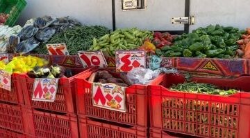 استقرار سعر الخضار والفاكهة والأسماك وانخفاض أسعار الدواجن بالفيوم اليوم –  سبق 24