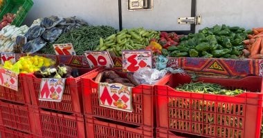 استقرار سعر الخضار والفاكهة والأسماك وانخفاض أسعار الدواجن بالفيوم اليوم –  سبق 24