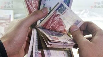 صناديق التأمين الخاصة تستثمر 4.3 مليار جنيه خلال شهري يناير وفبراير 2025 –  سبق 24