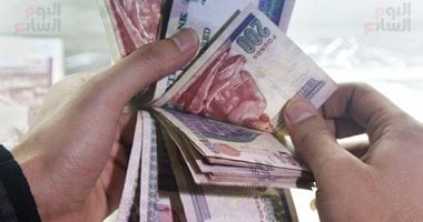 صناديق التأمين الخاصة تستثمر 4.3 مليار جنيه خلال شهري يناير وفبراير 2025 – سبق 24