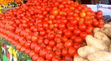 سعر الخضراوات والفواكه اليوم الأحد بالمنوفية.. الطماطم بـ 7 جنيهات –  سبق 24