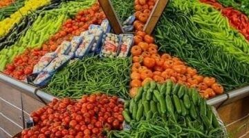 استقرار أسعار الخضراوات والفاكهة والأسماك وارتفاع أسعار الدواجن بالفيوم –  سبق 24