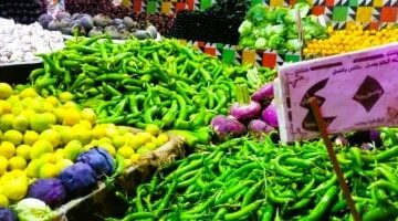 سعر الخضار والفواكه اليوم الجمعة 23مايو  2025 بالمنوفية.. الطماطم 10جنيهات  –  سبق 24