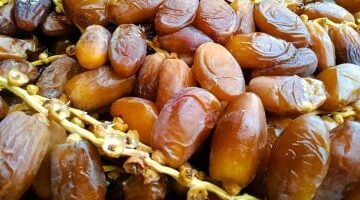 أسعار البلح السيوى اليوم الخميس 24- 4-2025 بأسواق محافظة مطروح.. الصعيدى بـ35 جنيها –  سبق 24