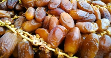 أسعار البلح السيوى اليوم الخميس 24- 4-2025 بأسواق محافظة مطروح.. الصعيدى بـ35 جنيها –  سبق 24