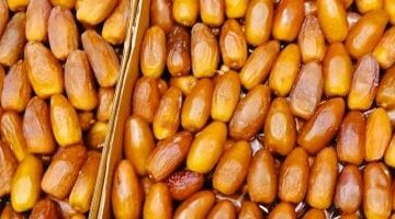 أسعار البلح السيوى بأسواق محافظة مطروح اليوم السبت 26- 4-2025 –  سبق 24