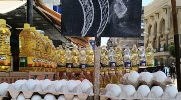 الكرتونة تبدأ من 90 جنيه.. انخفاض أسعار البيض في بورسعيد –  سبق 24