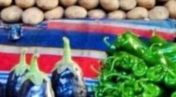 أسعار الخضروات اليوم الإثنين 28-4-2025 بأسواق محافظة الشرقية –  سبق 24