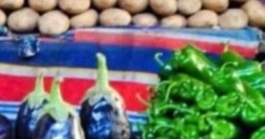 أسعار الخضروات اليوم الإثنين 28-4-2025 بأسواق محافظة الشرقية – سبق 24