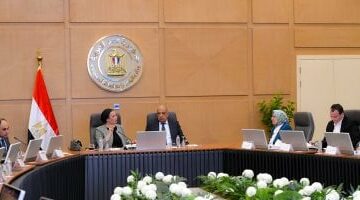 وزيرا الكهرباء والبيئة يبحثان سبل التعاون فى مشروعات الطاقات المتجددة –  سبق 24