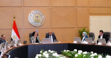 وزيرا الكهرباء والبيئة يبحثان سبل التعاون فى مشروعات الطاقات المتجددة – سبق 24