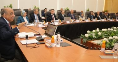وزير الكهرباء: إعادة هيكلة الشركة المصرية كمشغل مستقل لمنظومة النقل – سبق 24