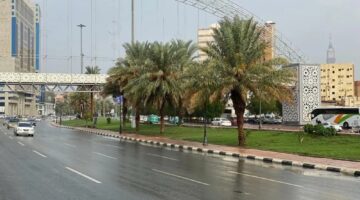 حالة الطقس.. أمطار رعدية ورياح مثيرة للأتربة على 9 مناطق