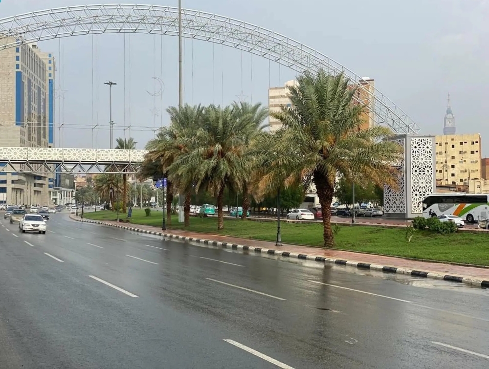 حالة الطقس.. أمطار رعدية ورياح مثيرة للأتربة على 9 مناطق
