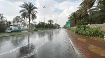 توقعات الطقس اليوم: أمطار ورياح وغبار على عدة مناطق 