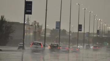 توقعات الطقس اليوم: أمطار رعدية على عدة مناطق