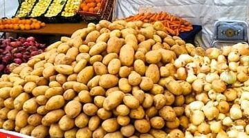 سعر الخضار والفواكه اليوم الاثنين فى المنوفية.. البطاطس بـ 10 جنيهات –  سبق 24