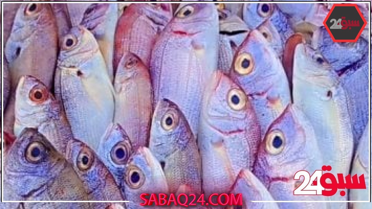 أسعار الأسماك بأسواق القليوبية اليوم الإثنين 19 / 5 / 2025.. البلطي 85 جنيها – سبق 24