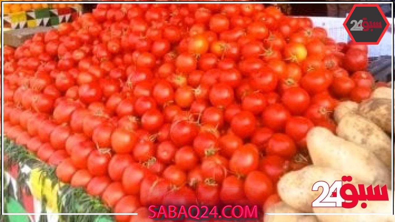 أسعار الخضراوات اليوم الاثنين 19-5-2025 بمطروح.. كيلو الطماطم بـ10 جنيهات – سبق 24