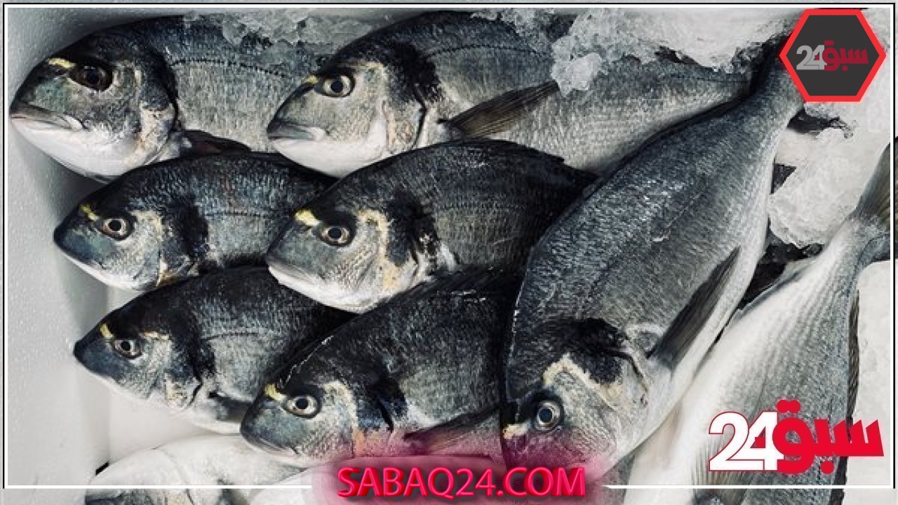 أسعار السمك اليوم الخميس 22 – 5 – 2025