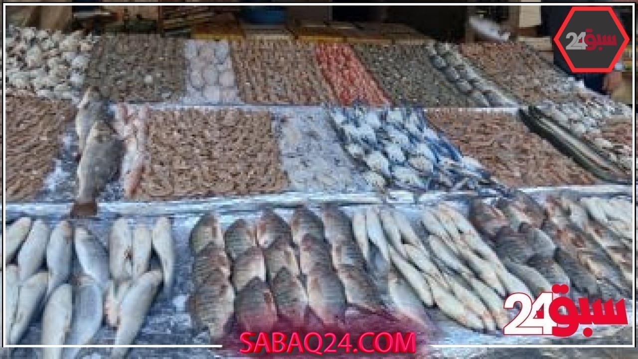 أسعار الأسماك بأسواق مطروح اليوم الخميس 22-5-2025.. االمرجان بـ140 جنيها – سبق 24