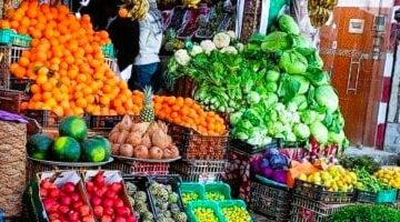 أسعار الخضروات اليوم الخميس 22-5-2025 فى الإسماعيلية –  سبق 24