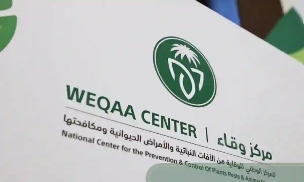المركز الوطني يعلن عن مبادرات جديدة لدعم التنمية الوطنية وتحقيق الاستدامة
