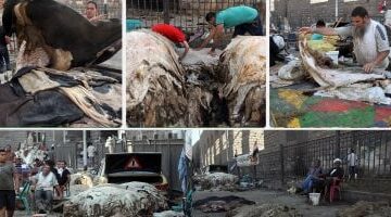 غرفة صناعة الجلود تشارك بـ 13 شركة في معرض الصين الدولي.. يونيو المقبل –  سبق 24