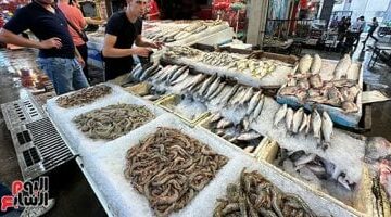 أسعار اللحوم والأسماك اليوم الثلاثاء 13-5-2025 فى سوهاج.. البلطى بـ85 جنيها –  سبق 24