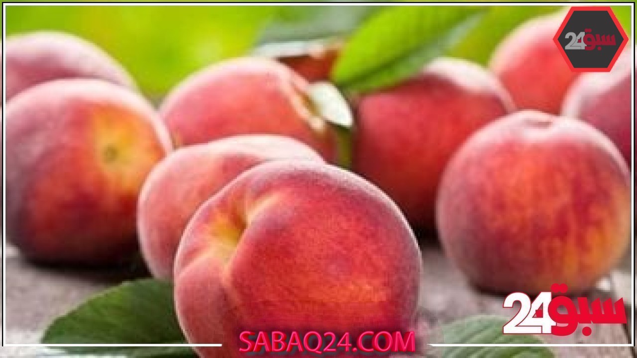 أسعار الفاكهة بأسواق محافظة مطروح اليوم السبت 24 -5- 2025.. الخوخ بـ 30 جنيه – سبق 24