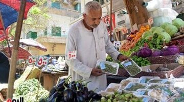 أسعار الخضراوات اليوم السبت 17-5-2025 فى الإسكندرية –  سبق 24