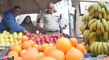 أسعار الفاكهة اليوم الثلاثاء 20-5-2025 فى أسواق القليوبية –  سبق 24