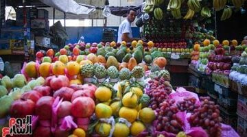 أسعار الفاكهة بأسواق محافظة مطروح اليوم الإثنين 12-5- 2025.. المشمش بـ 100 جنيه –  سبق 24