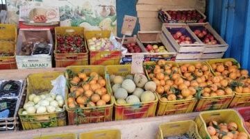 أسعار الفاكهة اليوم السبت 17-5- 2025 بأسواق محافظة مطروح.. البطيخ بـ 15 جنيها –  سبق 24