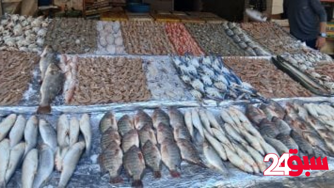 أسعار الأسماك اليوم الخميس 15–5- 2025 بأسواق محافظة مطروح.. البورى بـ 130 جنيها – سبق 24