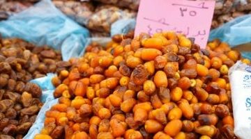 أسعار البلح اليوم الاثنين 19-5-2025 بأسواق ومحلات محافظة مطروح –  سبق 24
