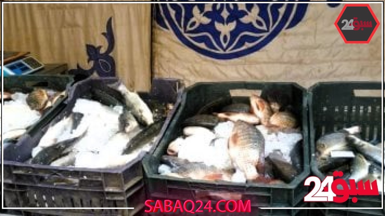 أسعار الأسماك بأسواق القليوبية اليوم الأحد 18-5-2025.. البلطى بـ 70 جنيها – سبق 24