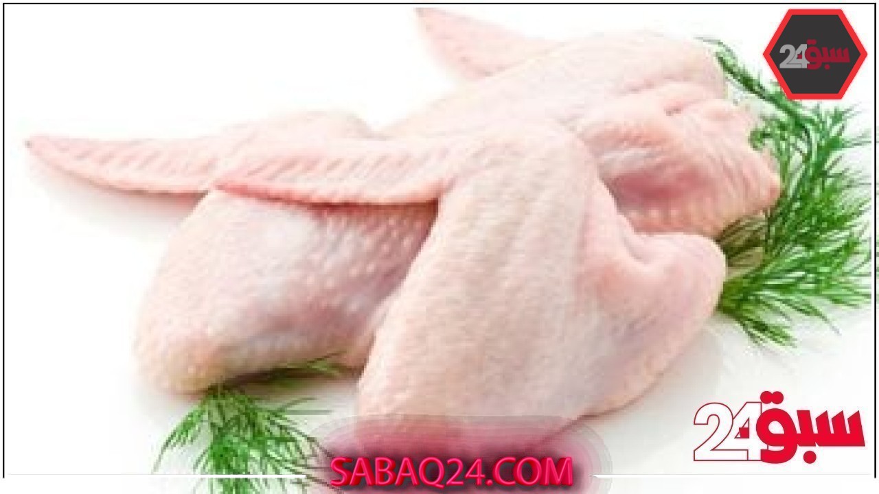 أسعار الدواجن والبيض بأسواق القليوبية اليوم الأربعاء 21-5-2025 – سبق 24