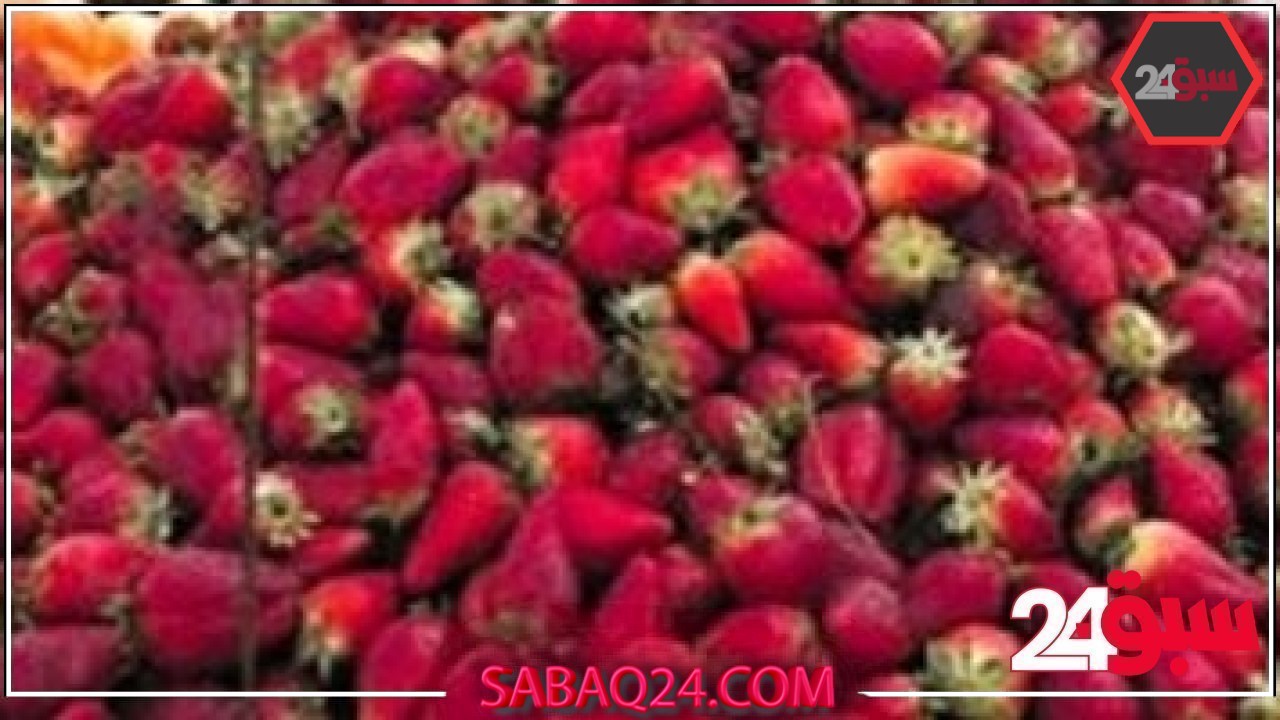 أسعار الفاكهة اليوم الجمعة 23-5-2025 فى أسواق القليوبية   –  سبق 24