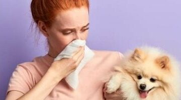 شركة أمريكية تطلب موظفا لشم أنفاس الكلاب مقابل 25 دولارا فى الساعة –  سبق 24
