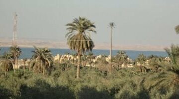 محتار تقضى الويك إند فين.. 5 أنشطة مبهجة فى قرية تونس بالفيوم –  سبق 24