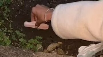 دفن الهوت دوج قبل حفل زفاف ببريطانيا أغرب تريندات التيك توك.. اعرف قصته  –  سبق 24
