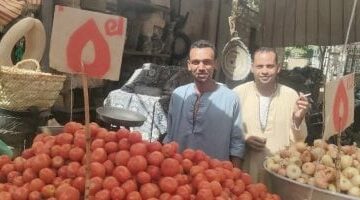 آخر أسعار الخضروات داخل الأسواق فى محافظة الأقصر.. اليوم الثلاثاء 13 مايو –  سبق 24